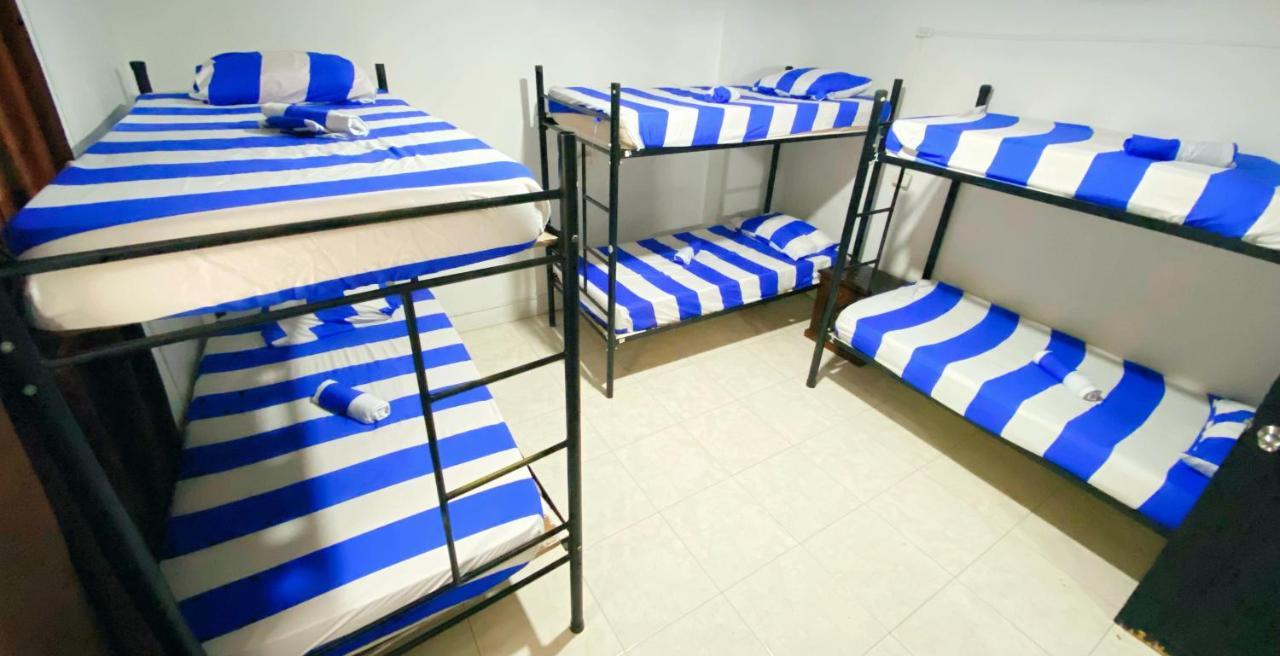 Tiger Hostel